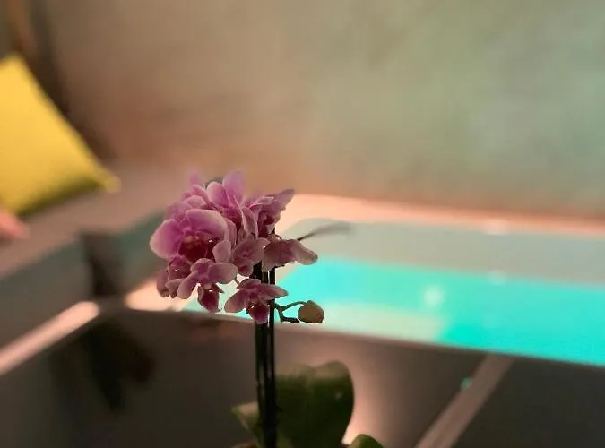 Pintada 57 * نيرخا